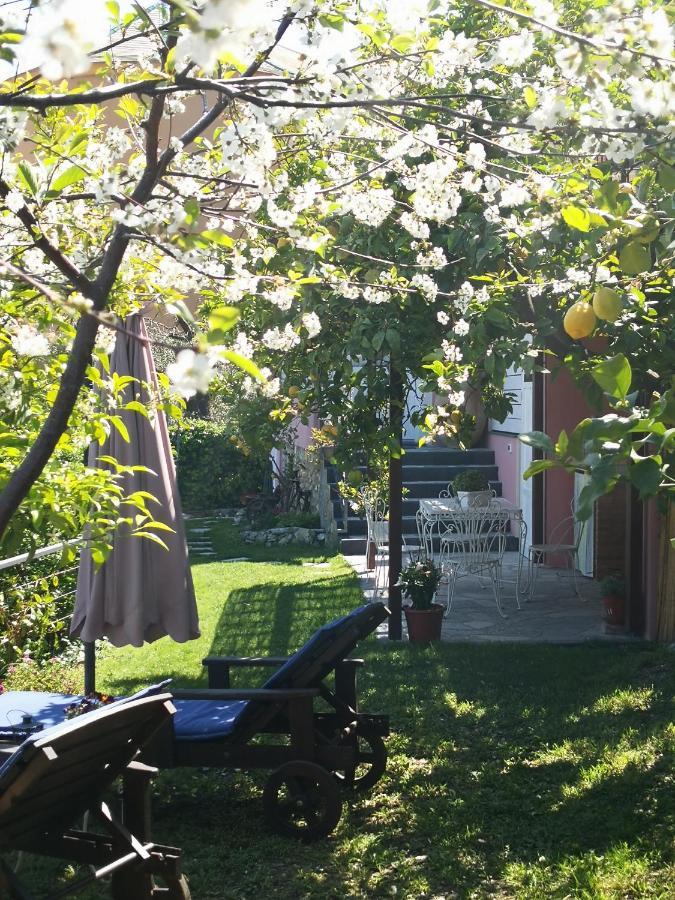 Florinda Lemon'S Suite Черво Екстериор снимка